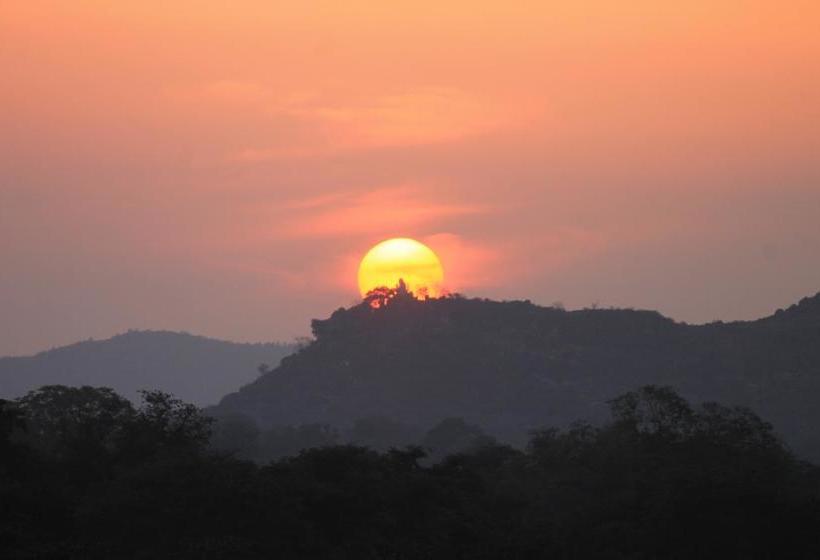 Dormitory Bed & Breakfast 4