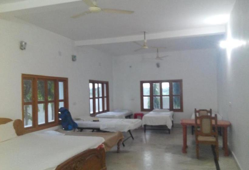 Dormitory Bed & Breakfast 6