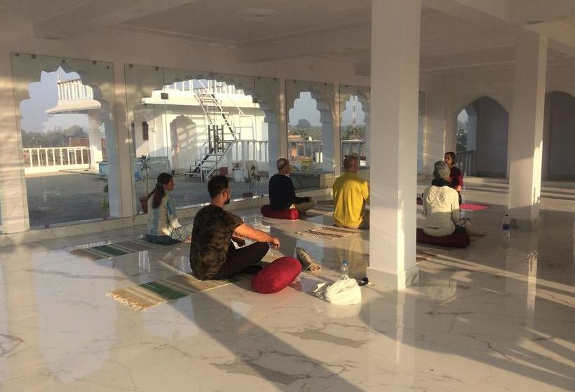 Dormitory Bed & Breakfast 7