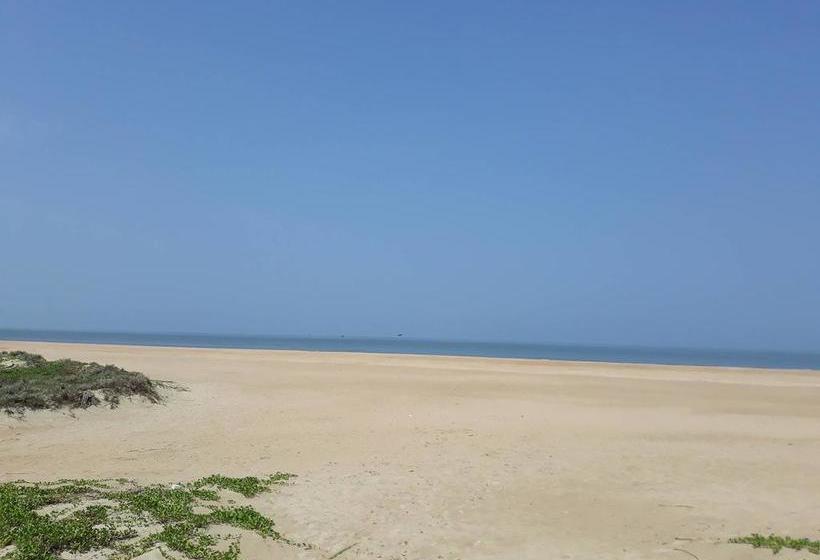 Resort Palmeiras Dourado 16