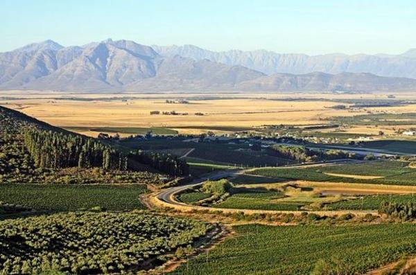 Hotel Pictorex Apartments 13