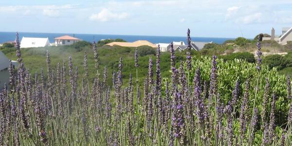 Hotel Nina S Selfcatering Hermanus 3