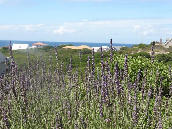 Hotel Nina S Selfcatering Hermanus 4