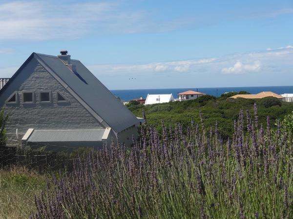 Hotel Nina S Selfcatering Hermanus 6