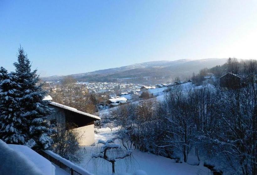 Hotel Gästehaus Falkenau Urlaub Mit Hund 3