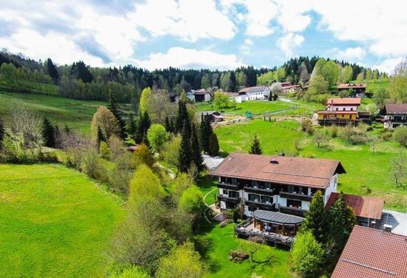 Hotel Gästehaus Falkenau Urlaub Mit Hund 4