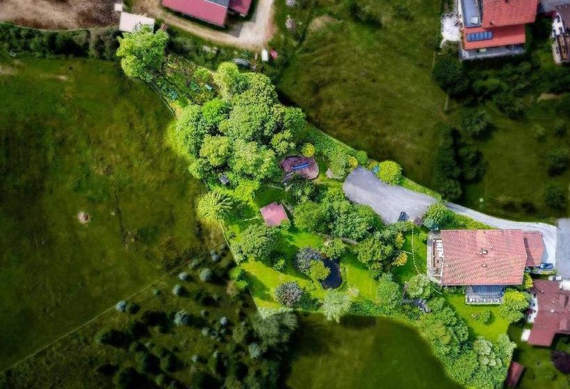 Hotel Gästehaus Falkenau Urlaub Mit Hund 5