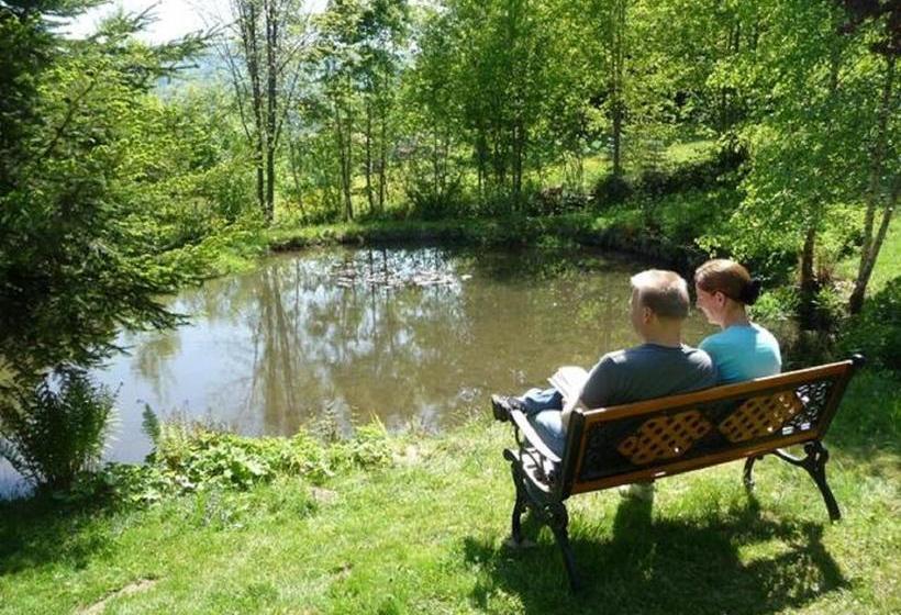 Hotel Gästehaus Falkenau Urlaub Mit Hund 6