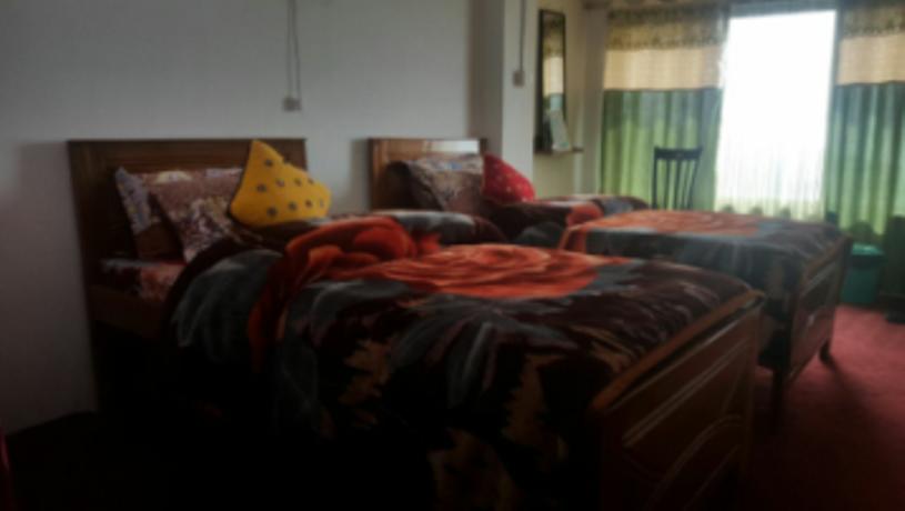 Hotel Khangsangma Guest House 4