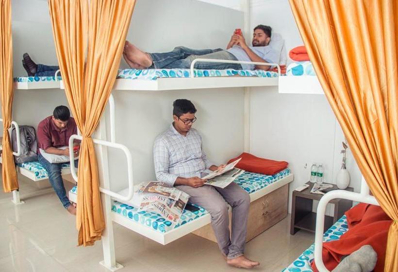 Bed and Breakfast Peters Inn 1