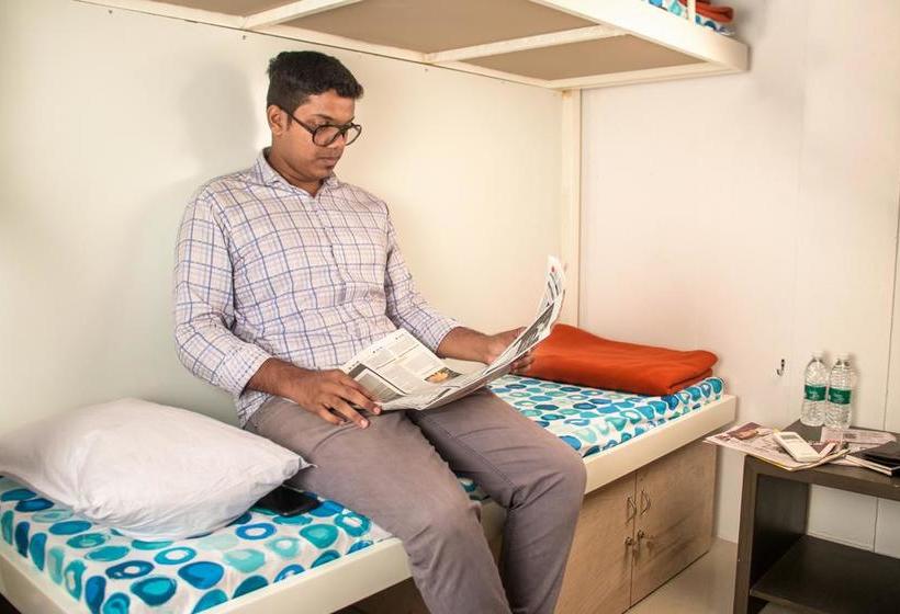 Bed and Breakfast Peters Inn 4