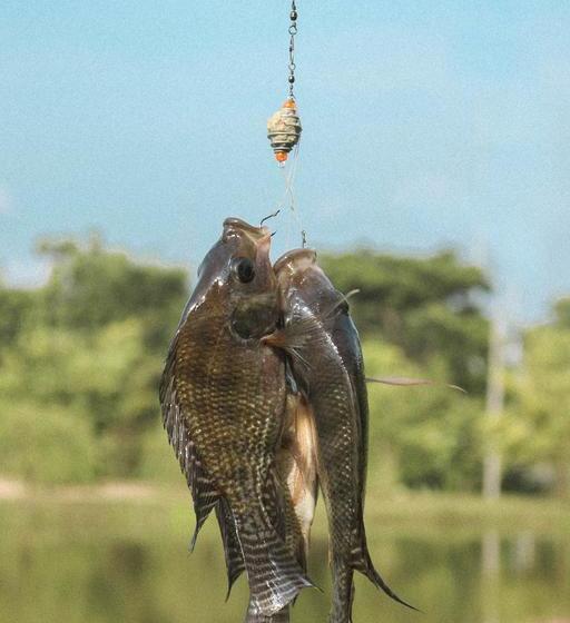 Resort Baansuan Rimthan 16