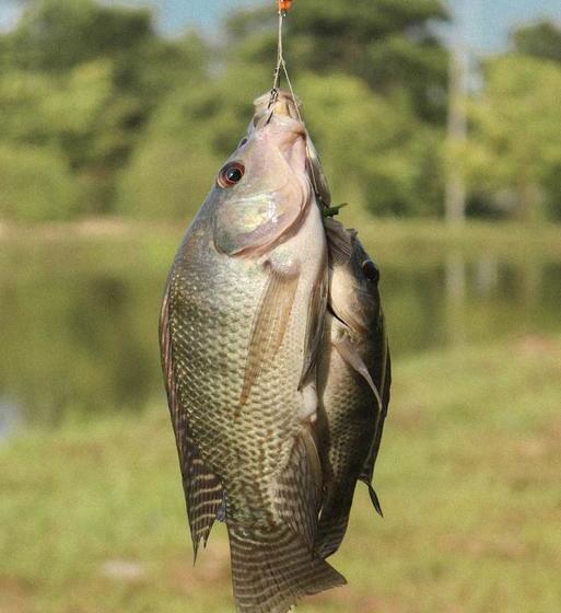 Resort Baansuan Rimthan 17