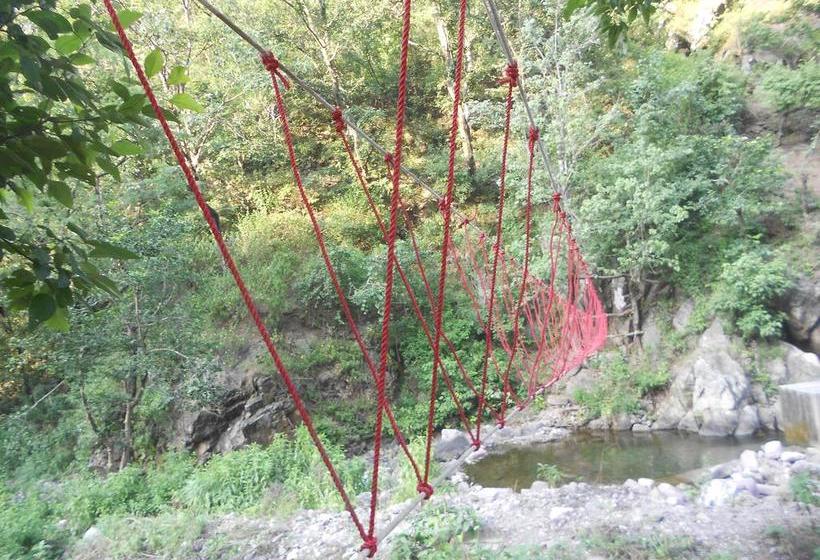 Hostel Camp White World 13