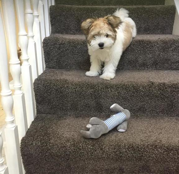 Bed and Breakfast 226 Memorial