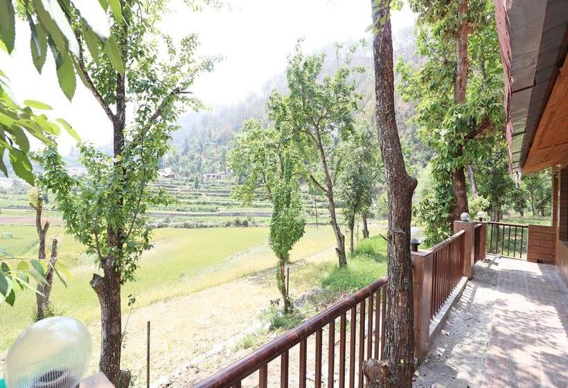 Hotel Damyanti Residency 12