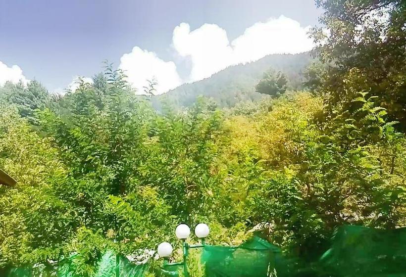 Hotel Royal Spring Pahalgam 1