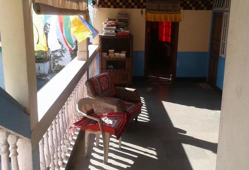 Gohills Orchid Hostel 12