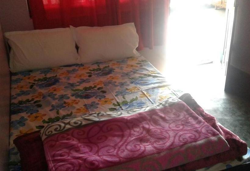 Gohills Orchid Hostel 5