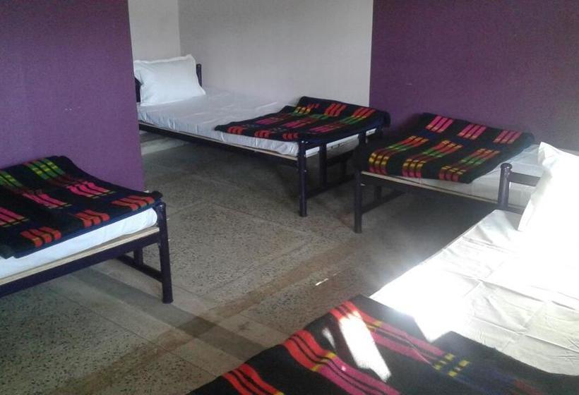 Gohills Orchid Hostel 7