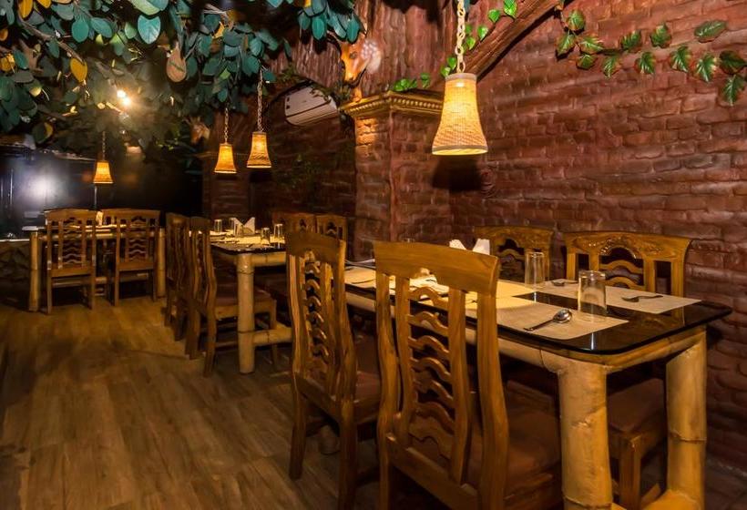 Hotel Oyo 10275 Dreamland Guest House 13