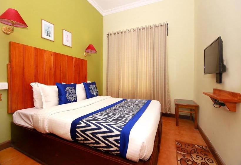 Oyo 10336 Hotel Sn Annex 3