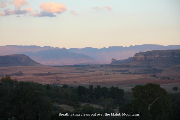 Hotel Fat Mulberry 6