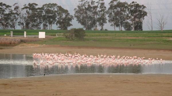 Hotel Klein Eikeboom Cottages 14