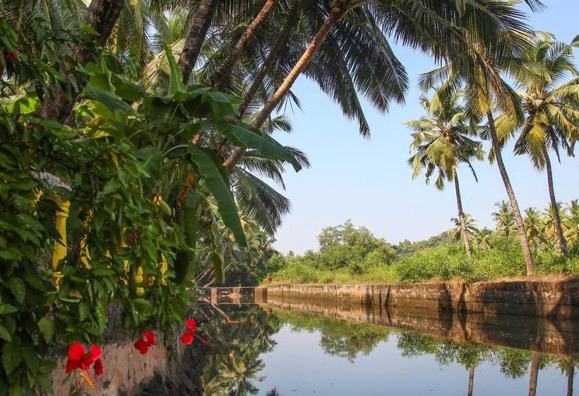 Agonda Palace Resort 18