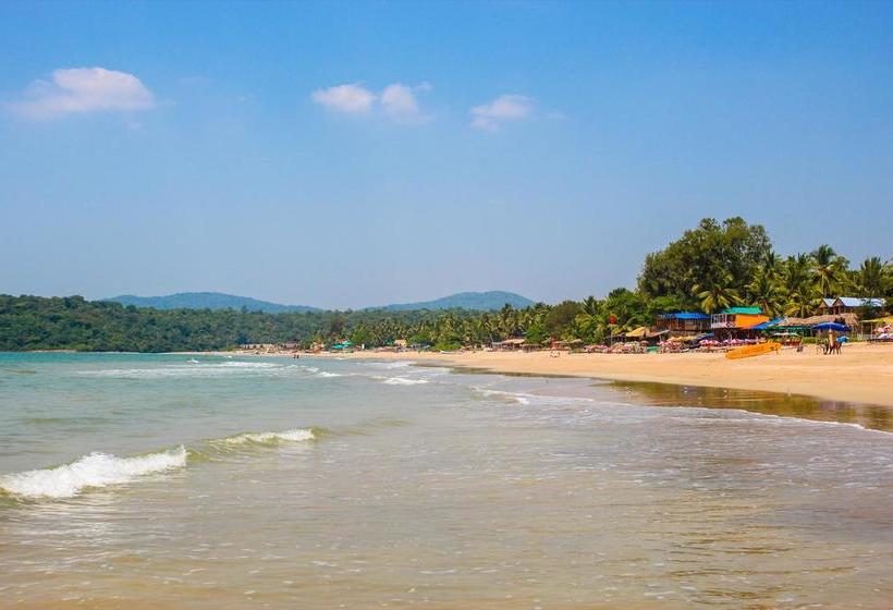 Agonda Palace Resort 20