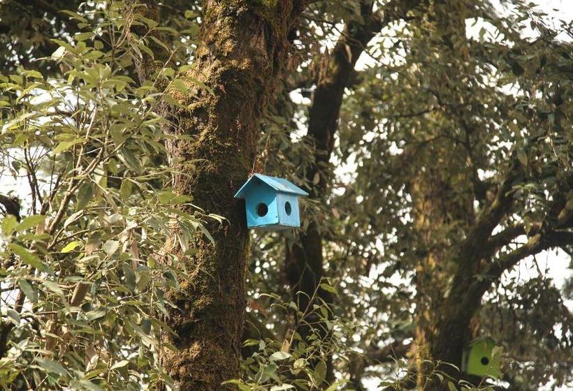 Hôtel Aamod Karma Vilas 2