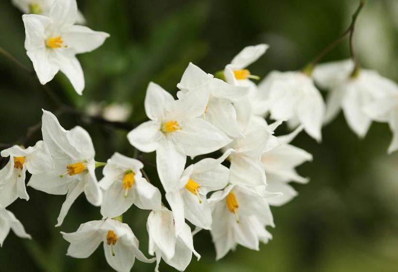 Hôtel Aamod Karma Vilas 7