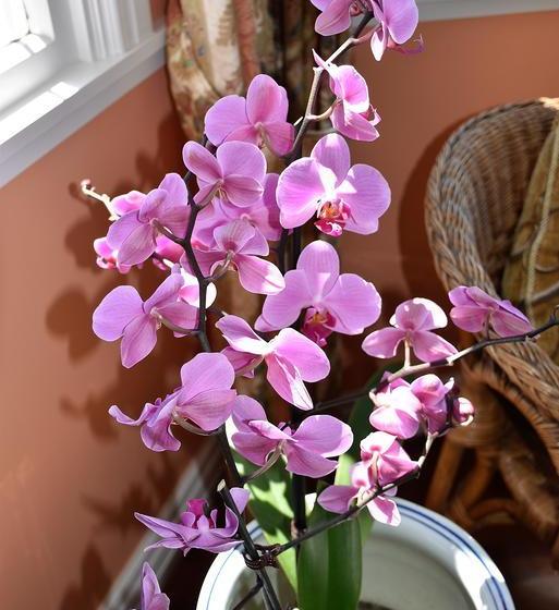 Bed and Breakfast Devenport Estate 9