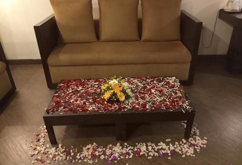 Hotel The Seventeen Degrees 14