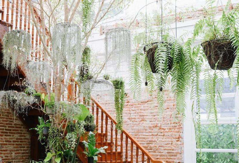 Memmoth Hostel In Lampang 18