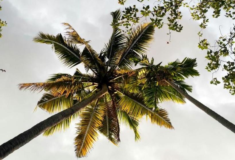 Bed and Breakfast Lake Front 8