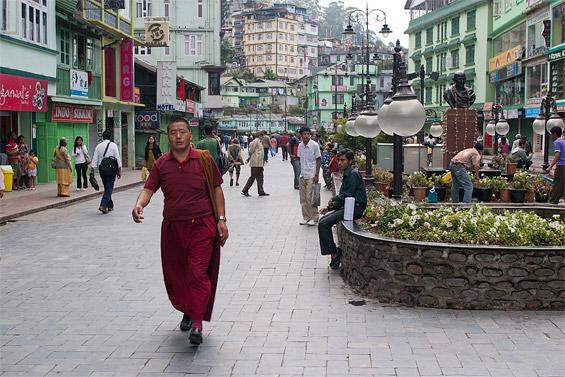 Hotel Stellar Dechen & Palmo 6