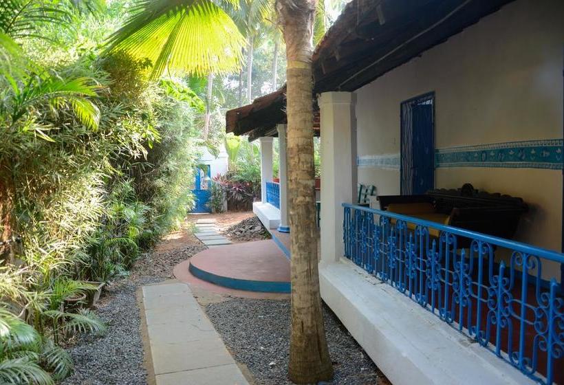 Woke Hostel Arpora 18