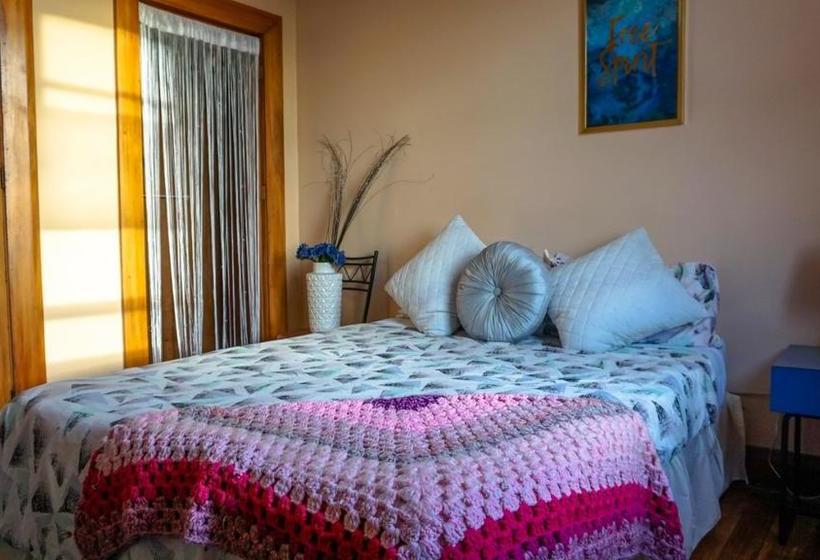 South Of The Barber Hostel 3