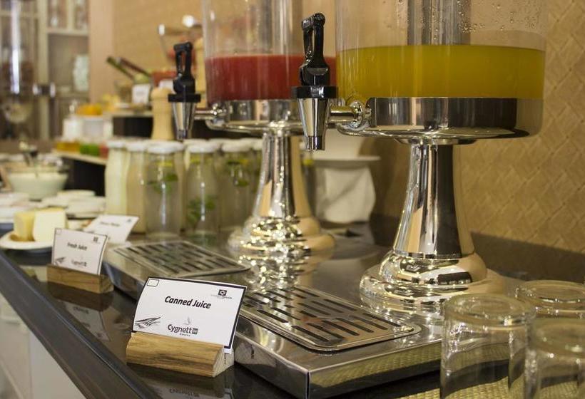 Hotel Cygnett Inn 16