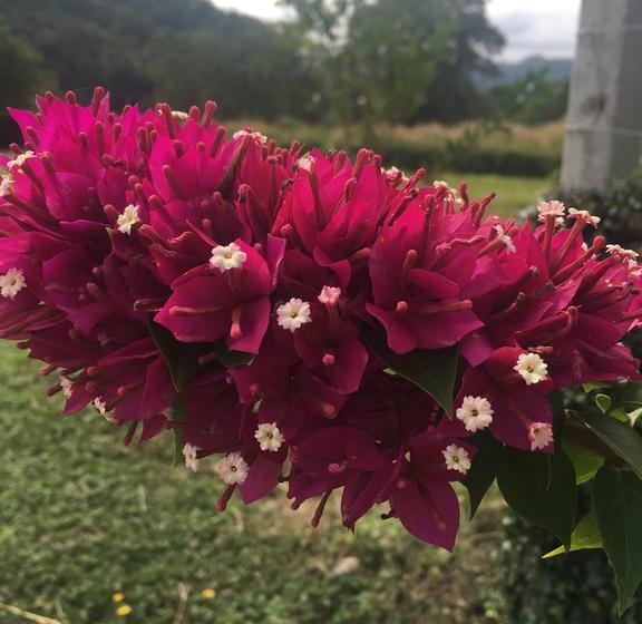 Glory Hill Villas Resort 18