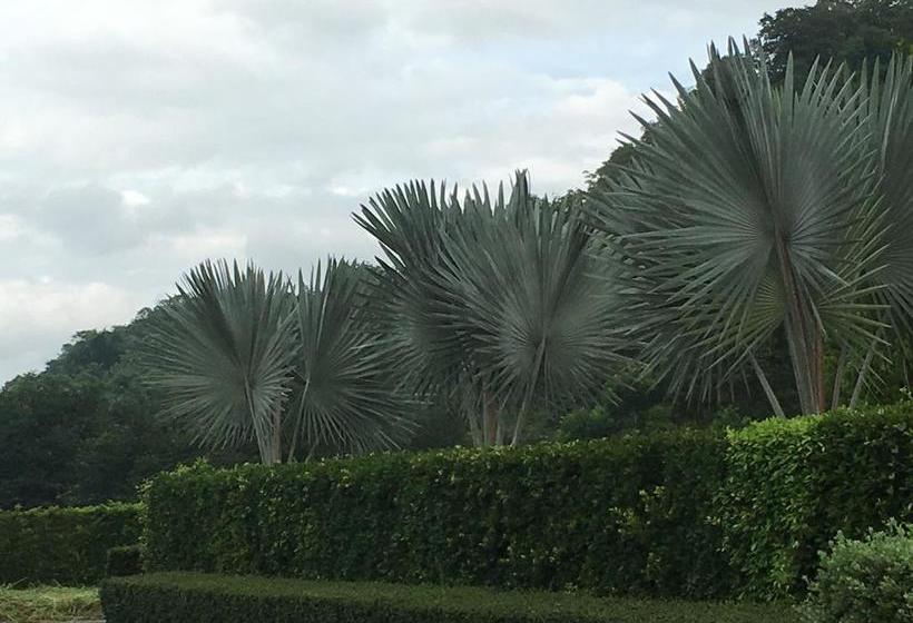 Glory Hill Villas Resort 19