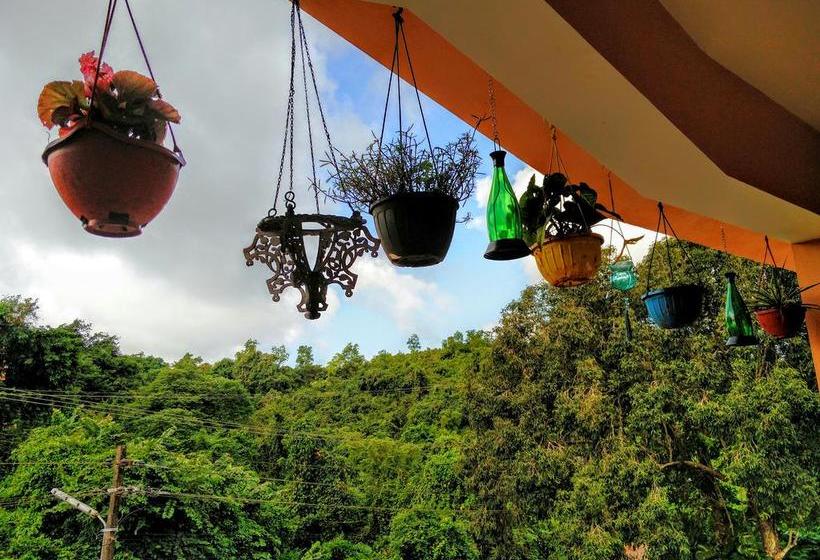 Bed and Breakfast Assagao House 19