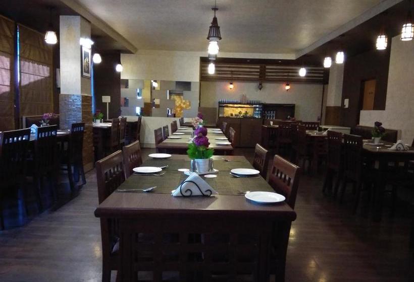 Aditya S Hotel Centre Point 14