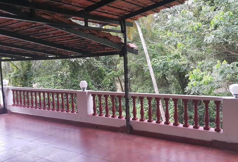 Hotel Copsewood Villa Guest House 5