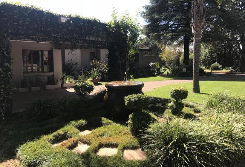 Bed and Breakfast Diamond Rose Guest House 8