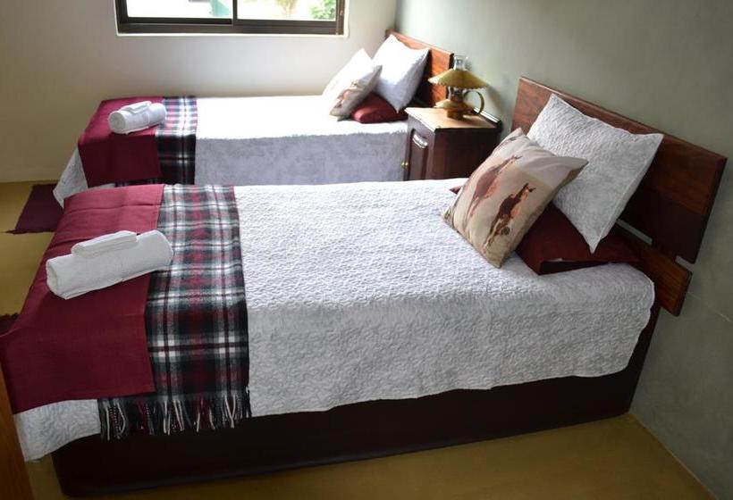 Hotel Bo Heimia Guesthouse 15