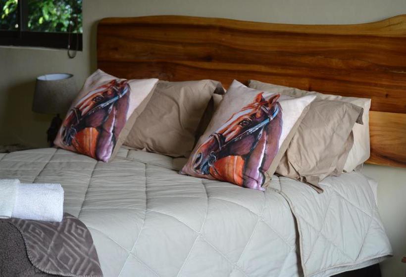 Hotel Bo Heimia Guesthouse 20