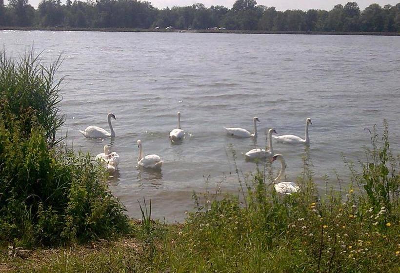 Hotel Privates Gaestehaus Graf 5