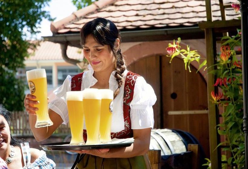 Hotel Landgasthaus Römerhof 17